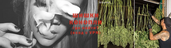 прущие грибы Богородск
