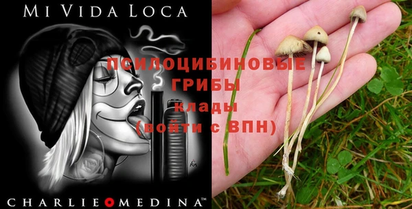 героин Богданович